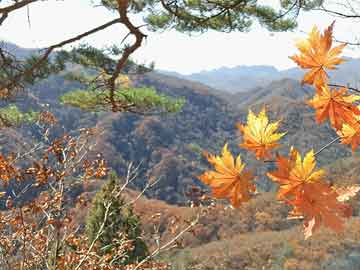 关山根村民委员会最新领导团队概览