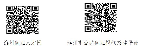 滨州市招聘网最新动态深度解析，求职招聘趋势及机会探讨