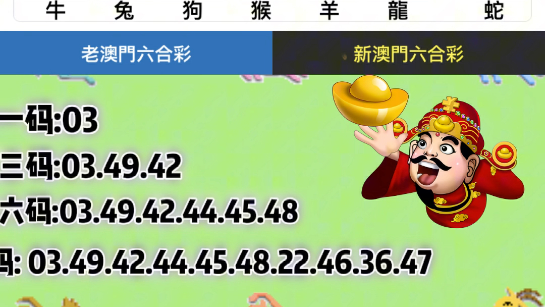 新澳门六2004开奖记录,深度研究解析说明_旗舰版43.979