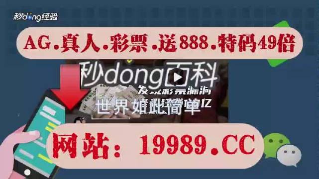 新澳门开奖结果2024开奖记录,专家分析解释定义_户外版86.285