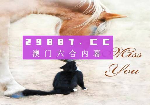 新澳门4949正版大全,全面解读说明_SE版32.255