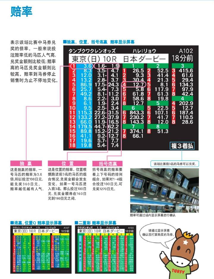 马会传真,互动性策略解析_运动版42.300