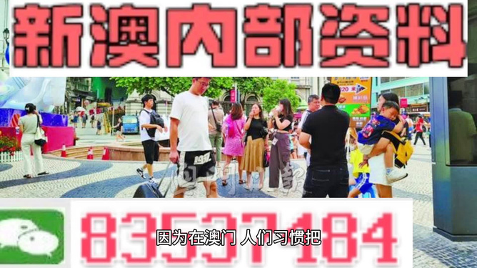 2024澳门精准正版资料免费大全,数据资料解释落实_增强版58.541