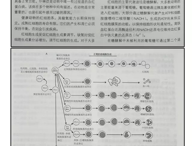 奧門資料大全免費資料,深度评估解析说明_工具版91.931