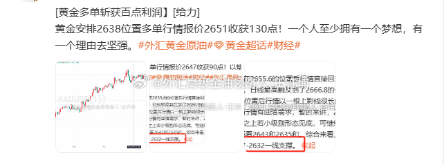 管家婆必中一肖一鸣,权威数据解释定义_XT60.841