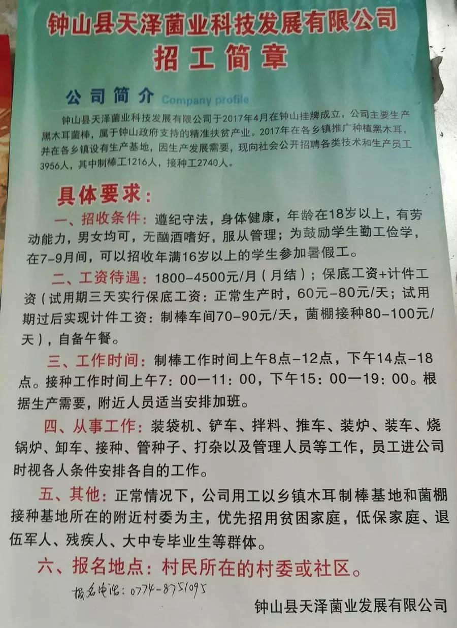 多乍村最新招聘信息全面解析