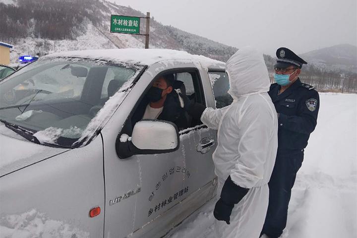 和龙市林业局最新交通动态报道