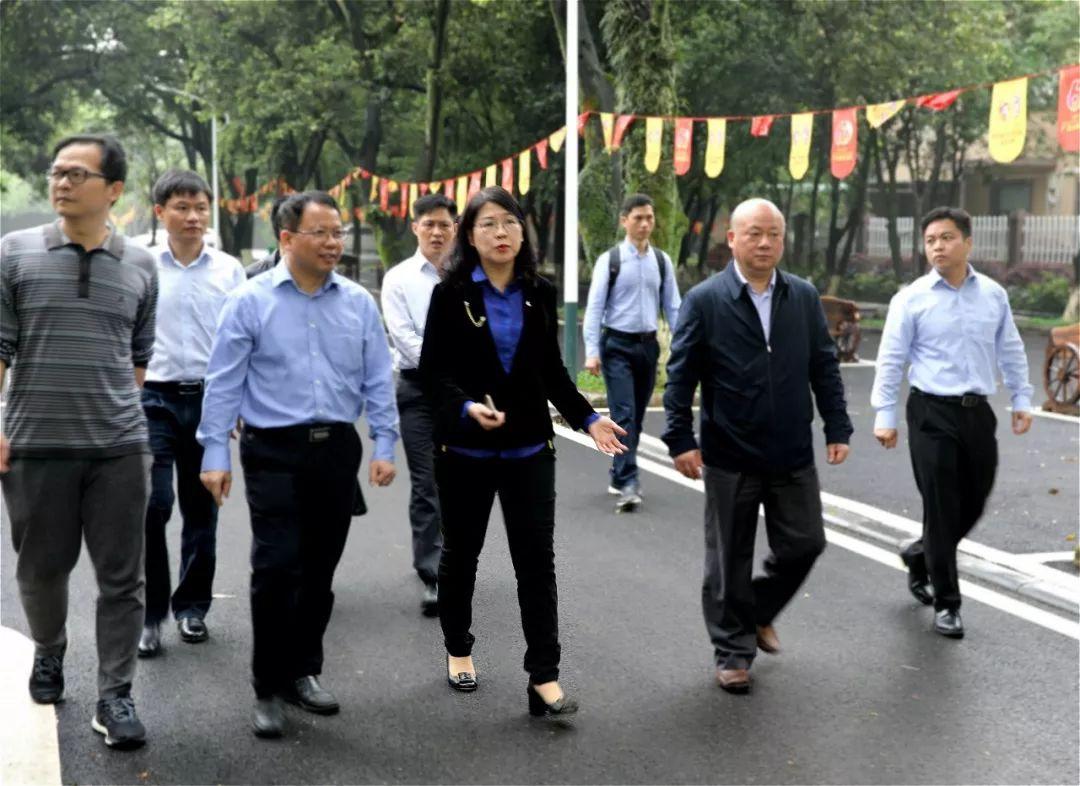 仙源镇全新发展规划揭秘