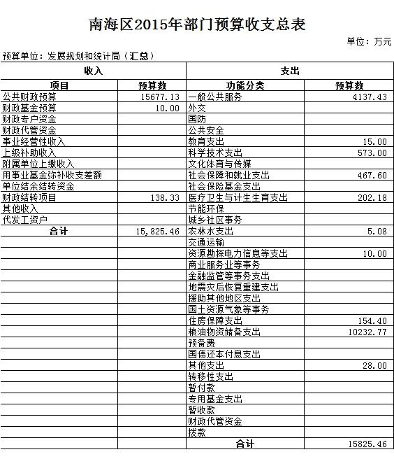 桐城市统计局未来发展规划展望