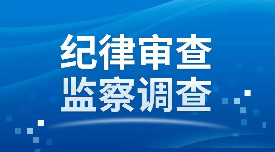 八道江区自然资源和规划局领导团队全新亮相，未来工作展望与规划方向揭秘