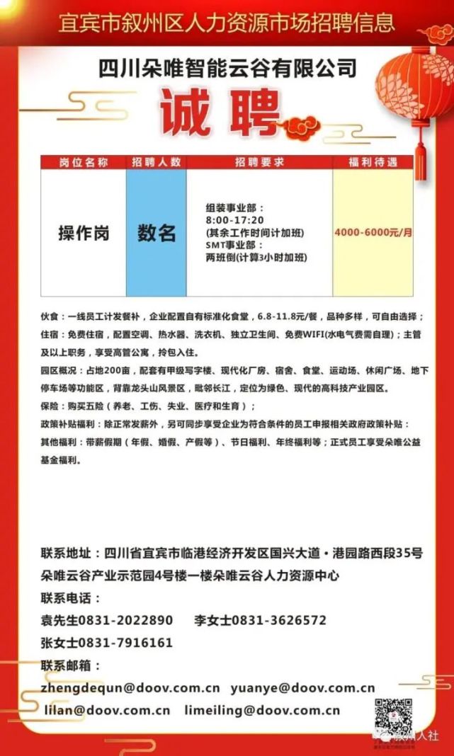 集贤县文化局招聘信息与动态概览