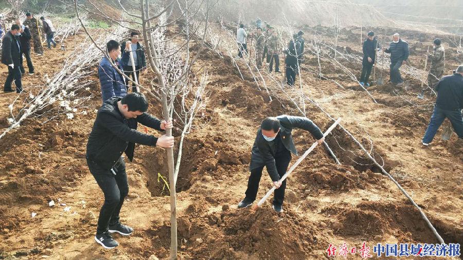 南召县农业农村局最新发展规划概览