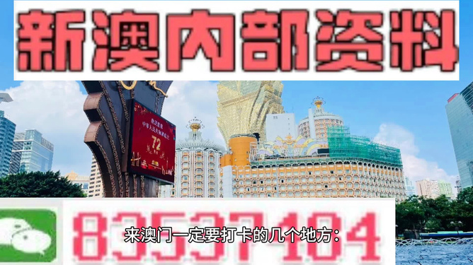 2024新澳门正版免费大全,现状解答解释定义_免费版84.164