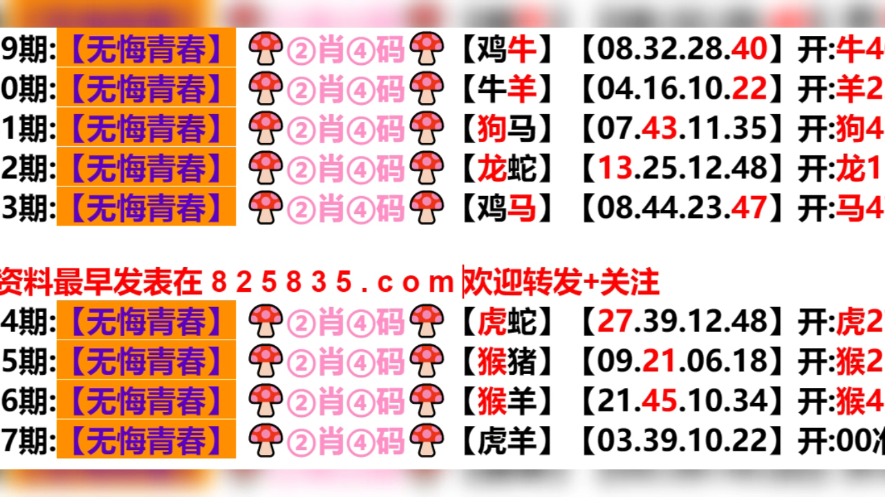 2024年12月6日 第49页