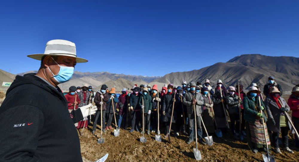 达木珞巴民族乡新项目，振兴繁荣的驱动力