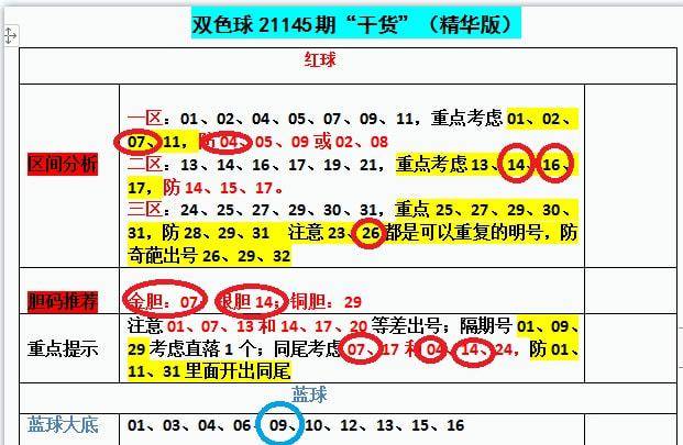 2024新澳门开奖结果开奖号码,经验解答解释落实_DP45.226