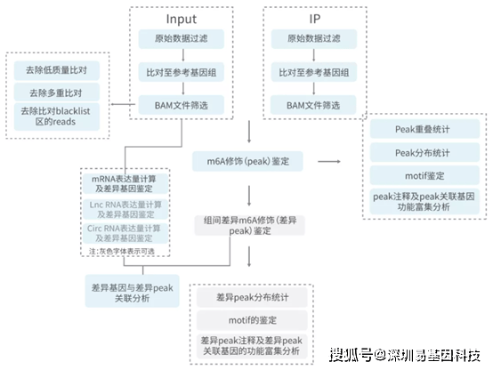 澳彩资料站199618,灵活性方案实施评估_M版10.227