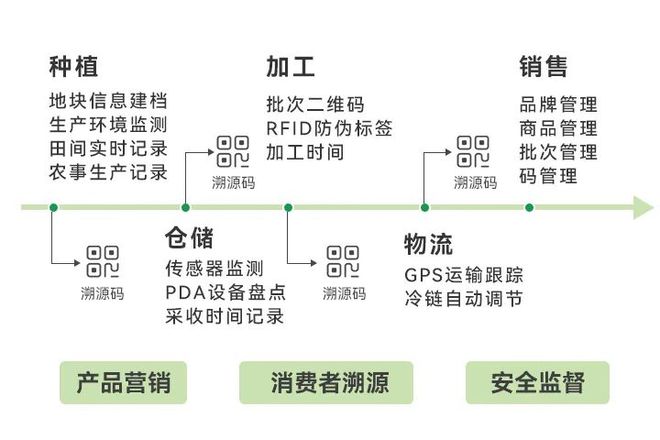 三肖三期必出特马,详细解答解释定义_9DM57.195