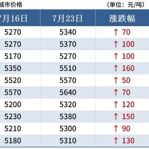 新澳门一肖中100%期期准,实时说明解析_2DM28.478