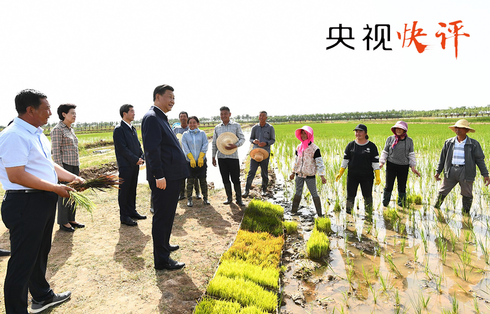 李家河村民委员会，迈向现代化交通新篇章的进展新闻