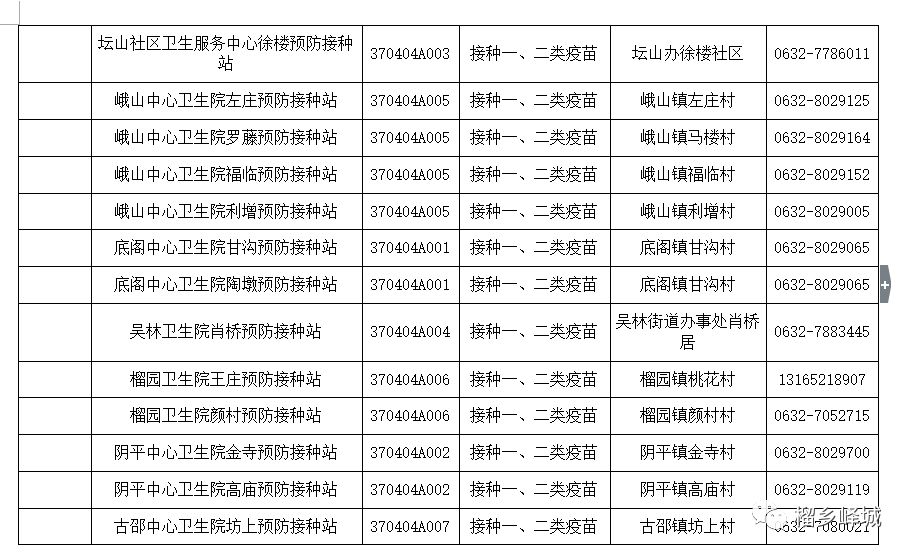 江城区防疫检疫站发展规划，筑牢健康防线，共创未来健康基石