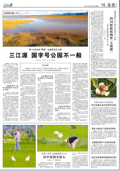 国营林场最新招聘信息详解，岗位、要求与解读一网打尽