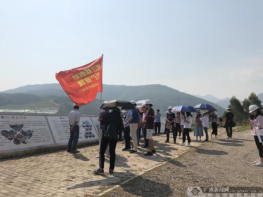 月田镇新项目引领地方发展开启新篇章