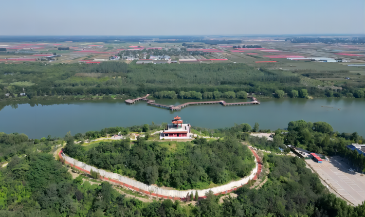 乐亭镇最新项目，地区发展的强大引擎驱动力