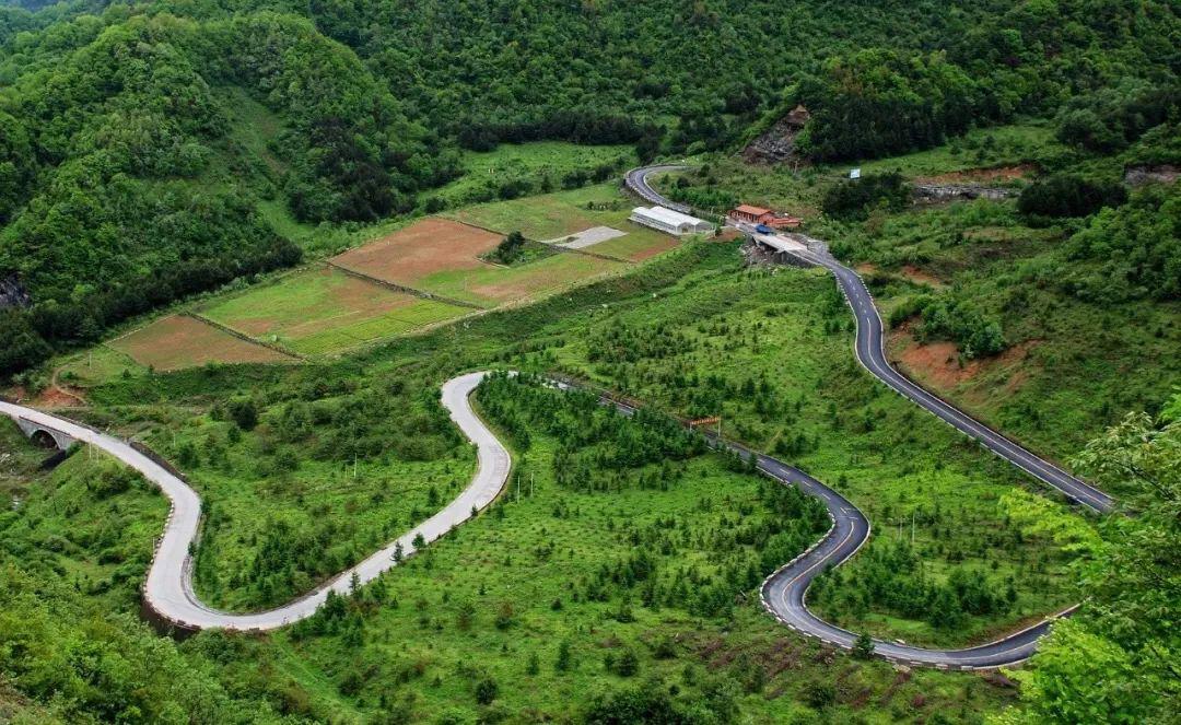 美峰林场最新交通动态报道