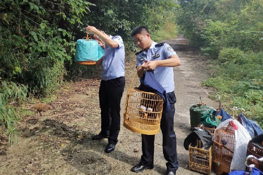 西塞山区自然资源和规划局最新动态报道