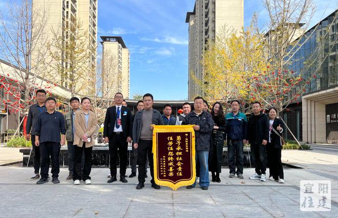 宜阳镇最新项目，地区发展的强大引擎启动器