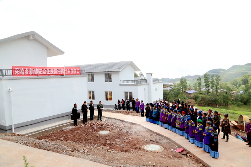 坝心彝族乡新项目，地方发展的强大推动力