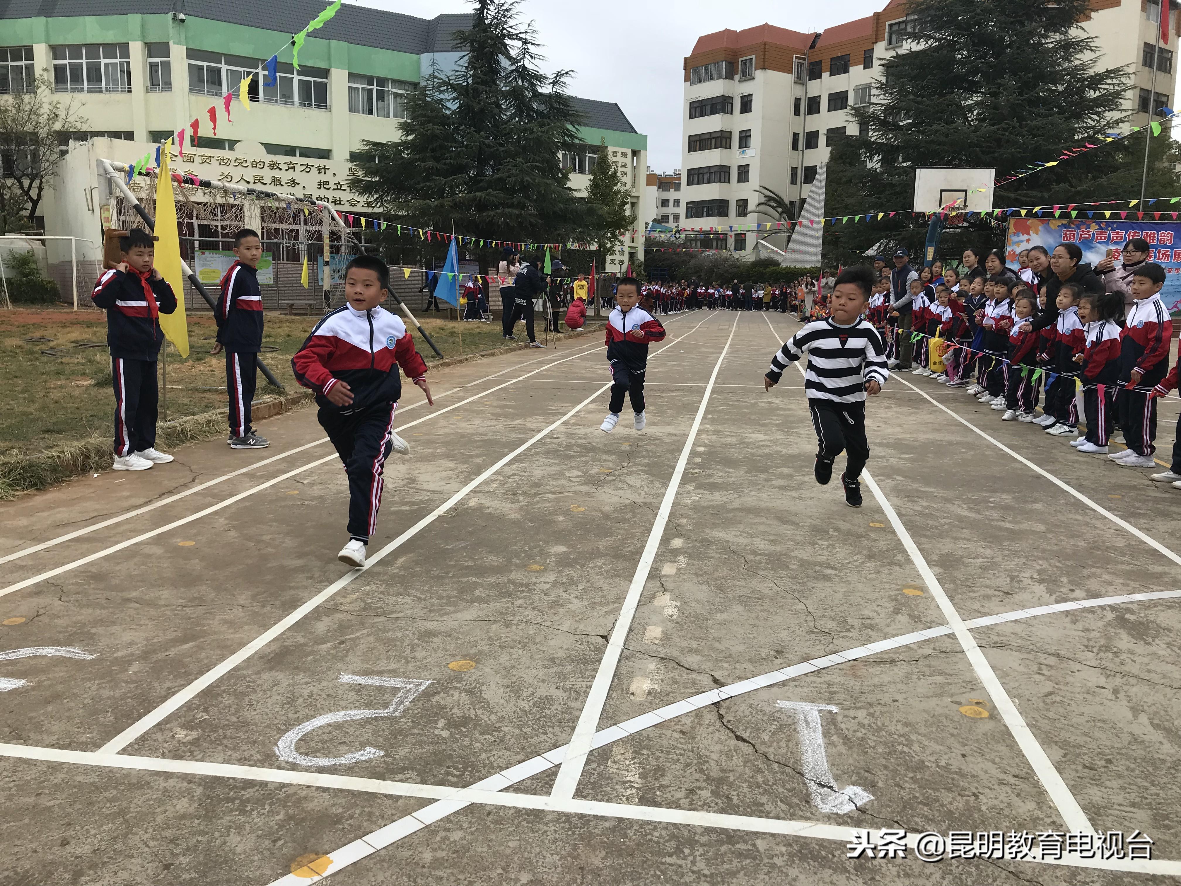 凌云县小学最新动态报道