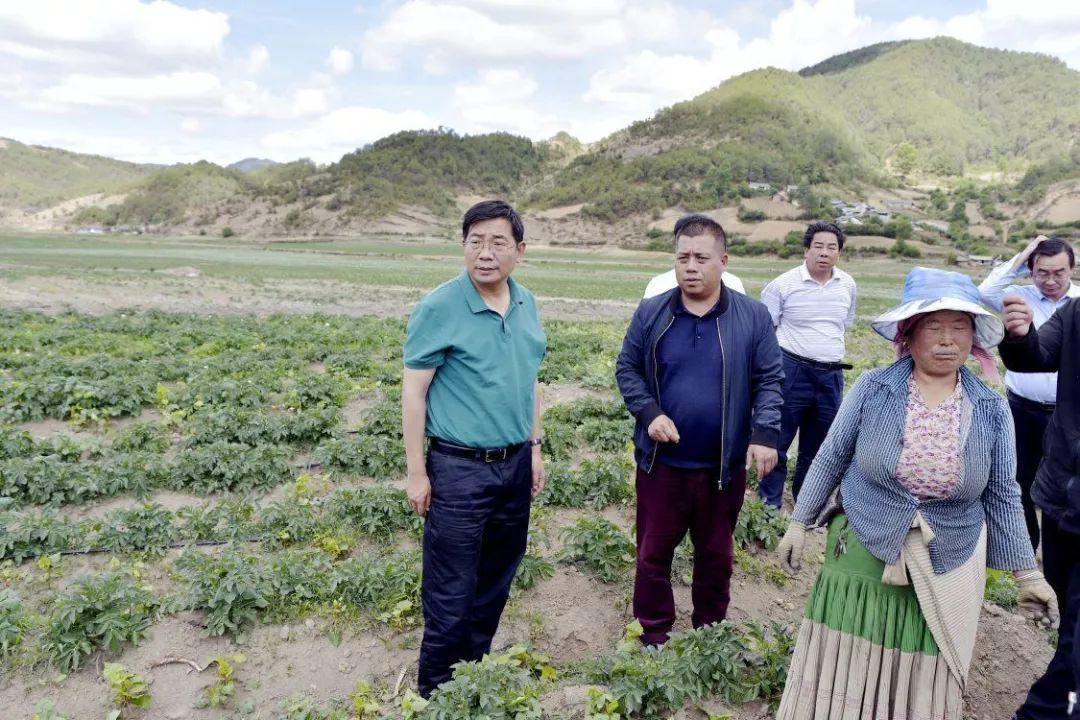 大沟村委会天气预报更新通知