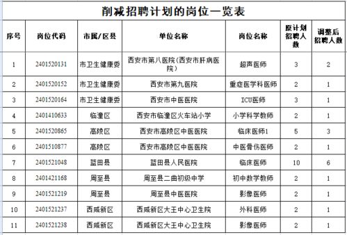 福绵区级托养福利事业单位发展规划展望