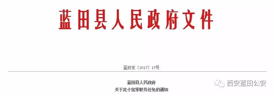 蓝田县政府办公室人事大调整，重塑领导团队，开启县域发展新篇章