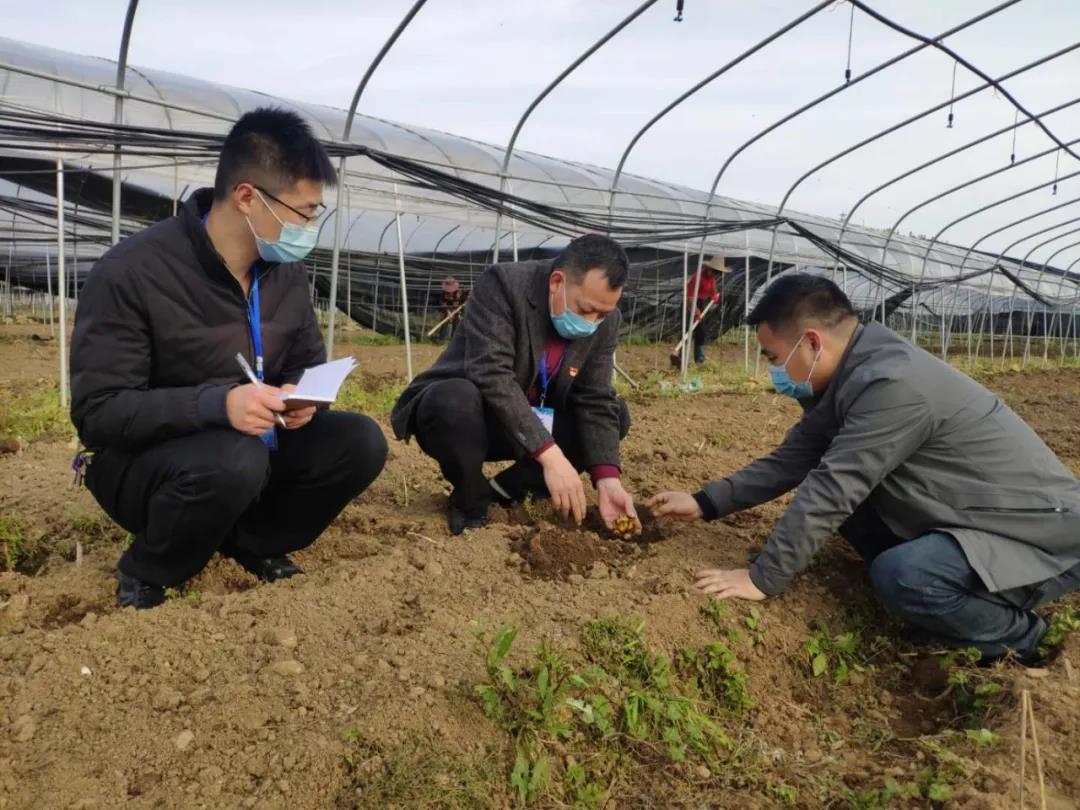 原种场最新动态报道