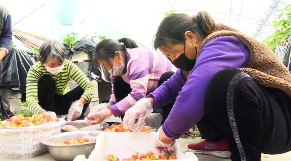 沭阳县文化广电体育和旅游局新项目助力地方文化体育事业迈向新高度