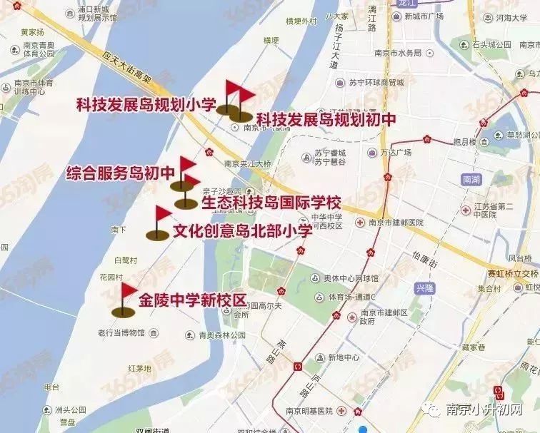 塘沽区小学发展规划概览，未来教育蓝图揭晓